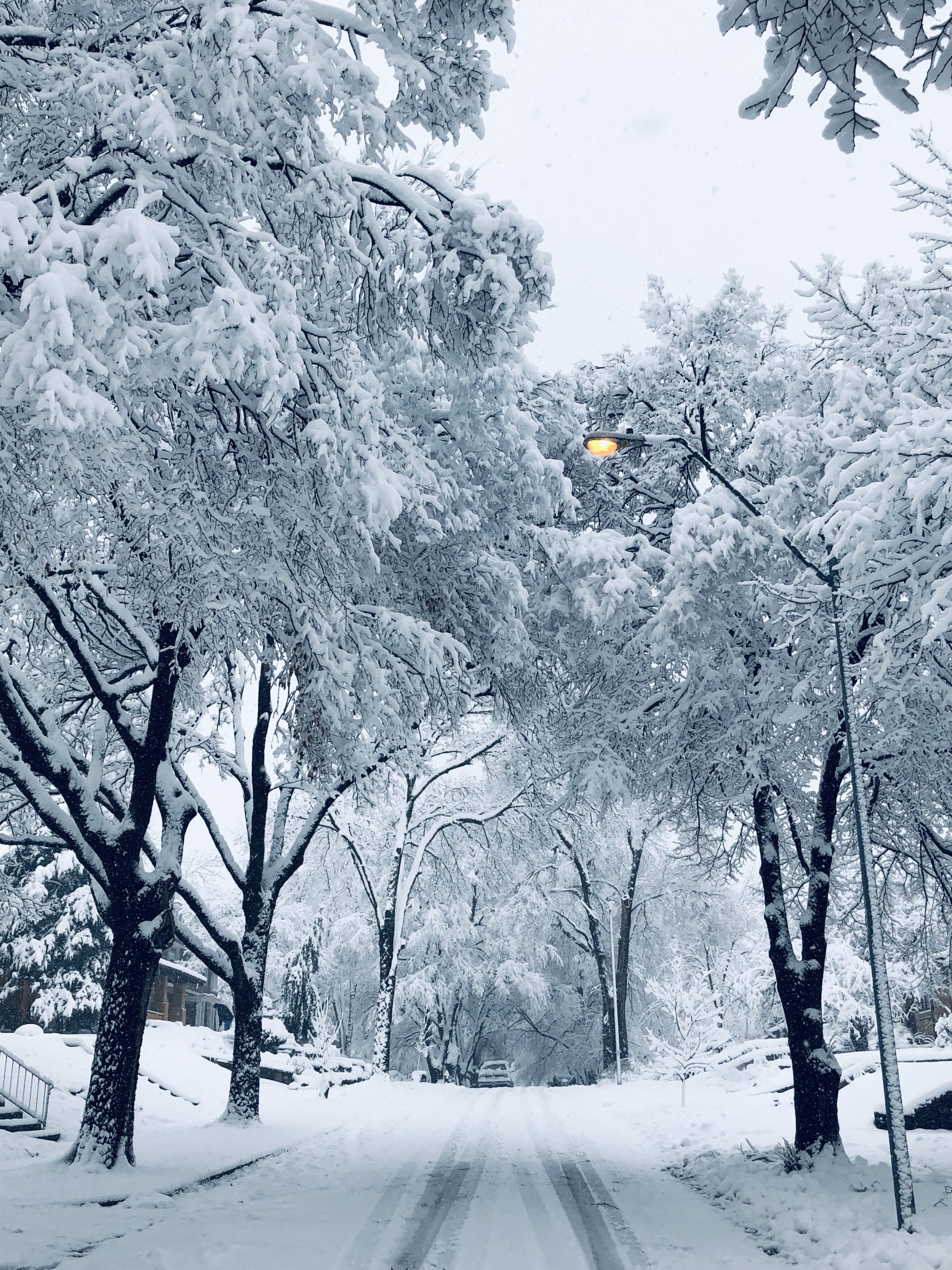 Chilled by the Past: A Winter Reflection