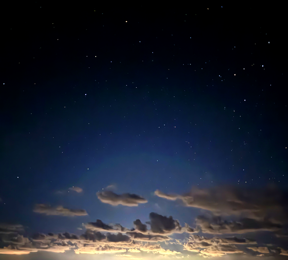 Starlight Elegy